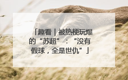 趣看｜被热梗玩爆的“苏超”：“没有假球，全是世仇”