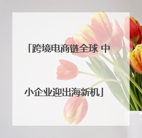 跨境电商链全球 中小企业迎出海新机