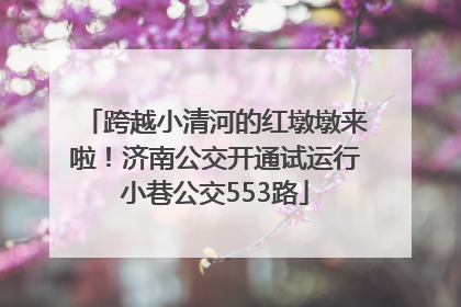 跨越小清河的红墩墩来啦！济南公交开通试运行小巷公交553路