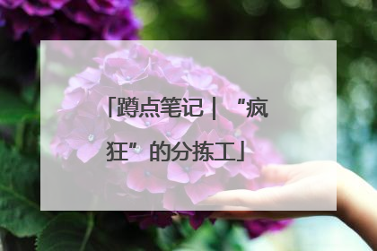 蹲点笔记｜“疯狂”的分拣工