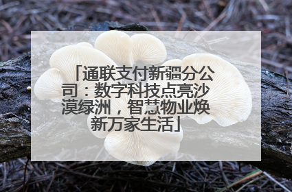 通联支付新疆分公司：数字科技点亮沙漠绿洲，智慧物业焕新万家生活