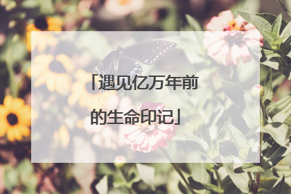 遇见亿万年前的生命印记