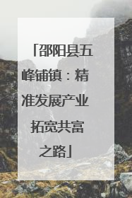 邵阳县五峰铺镇：精准发展产业 拓宽共富之路
