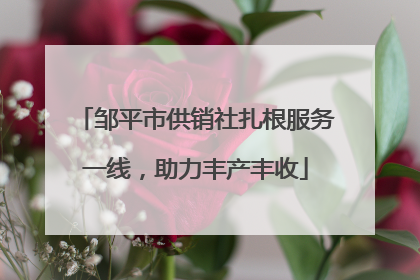 邹平市供销社扎根服务一线，助力丰产丰收