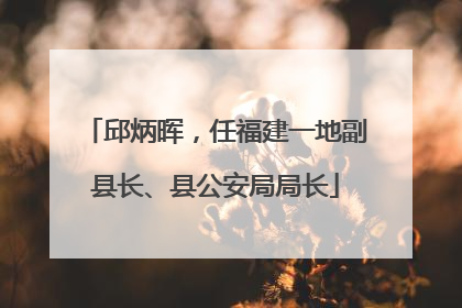 邱炳晖，任福建一地副县长、县公安局局长