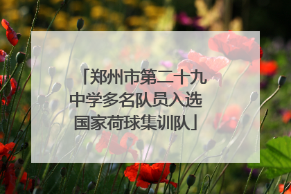 郑州市第二十九中学多名队员入选国家荷球集训队