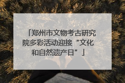 郑州市文物考古研究院多彩活动迎接“文化和自然遗产日”