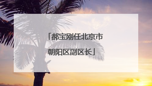 郝宝刚任北京市朝阳区副区长