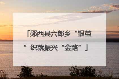 郧西县六郎乡“银茧”织就振兴“金路”
