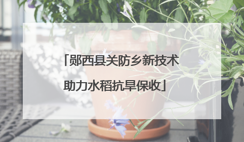 郧西县关防乡新技术助力水稻抗旱保收