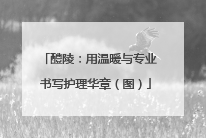 醴陵：用温暖与专业 书写护理华章（图）