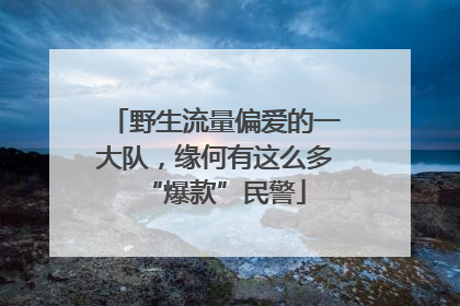 野生流量偏爱的一大队，缘何有这么多“爆款”民警