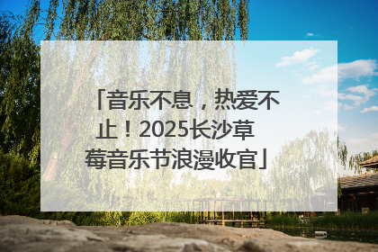 音乐不息，热爱不止！2025长沙草莓音乐节浪漫收官
