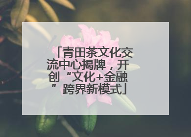 青田茶文化交流中心揭牌，开创“文化+金融”跨界新模式