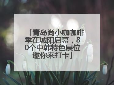 青岛尚小咖咖啡季在城阳启幕，80个中韩特色展位邀你来打卡