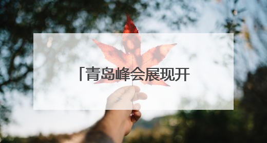 青岛峰会展现开放引力 跨国公司加码投资中国
