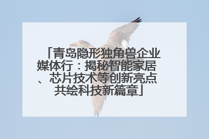 青岛隐形独角兽企业媒体行：揭秘智能家居、芯片技术等创新亮点 共绘科技新篇章