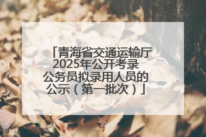 青海省交通运输厅2025年公开考录公务员拟录用人员的公示（第一批次）
