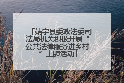 靖宇县委政法委司法局机关积极开展“公共法律服务进乡村”主题活动