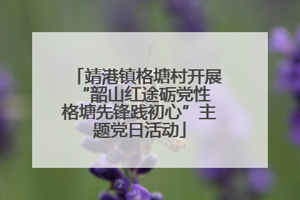 靖港镇格塘村开展“韶山红途砺党性 格塘先锋践初心”主题党日活动