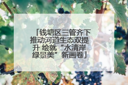 钱塘区三管齐下推动河道生态双提升 绘就“水清岸绿景美”新画卷