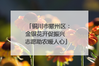 铜川市耀州区：金银花开促振兴 志愿助农暖人心