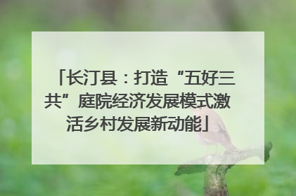 长汀县：打造“五好三共”庭院经济发展模式激活乡村发展新动能
