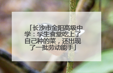 长沙市金阳高级中学：学生食堂吃上了自己种的菜，还出现了一批劳动能手
