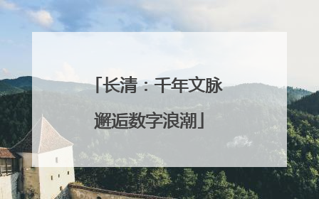 长清：千年文脉邂逅数字浪潮