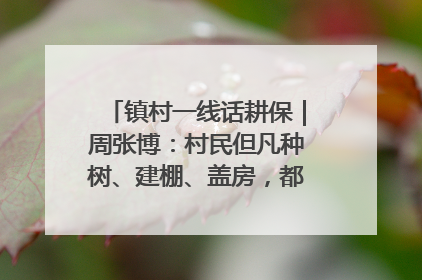 镇村一线话耕保｜周张博：村民但凡种树、建棚、盖房，都要向街道报批