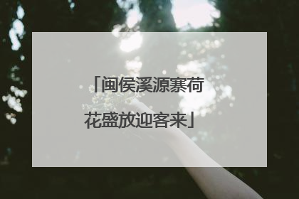 闽侯溪源寨荷花盛放迎客来