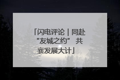 闪电评论｜同赴“友城之约” 共襄发展大计