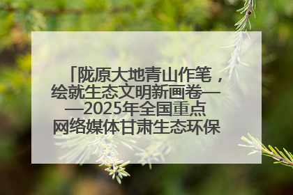 陇原大地青山作笔，绘就生态文明新画卷——2025年全国重点网络媒体甘肃生态环保行主题采访活动综述