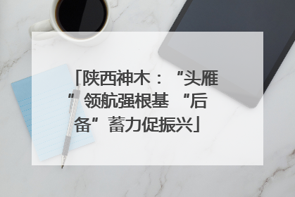 陕西神木：“头雁”领航强根基 “后备”蓄力促振兴