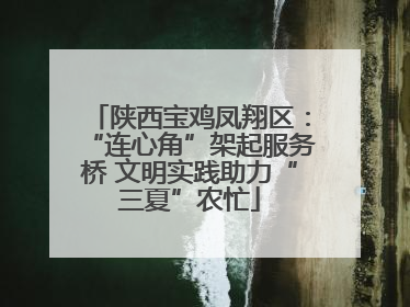 陕西宝鸡凤翔区：“连心角”架起服务桥 文明实践助力“三夏”农忙