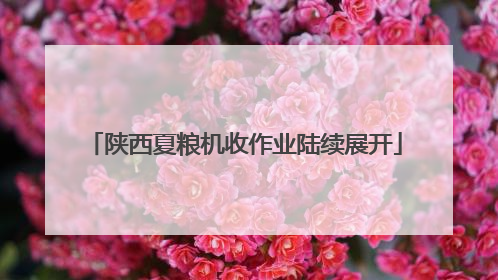 陕西夏粮机收作业陆续展开