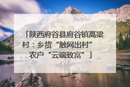 陕西府谷县府谷镇高梁村：乡货“触网出村” 农户“云端致富”