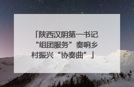 陕西汉阴第一书记“组团服务”奏响乡村振兴“协奏曲”