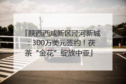 陕西西咸新区泾河新城：300万美元签约！茯茶“金花”绽放中亚