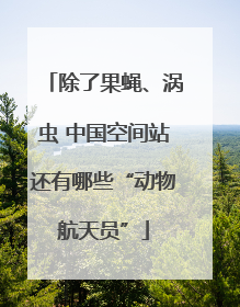 除了果蝇、涡虫 中国空间站还有哪些“动物航天员”