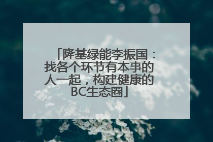 隆基绿能李振国：找各个环节有本事的人一起，构建健康的BC生态圈