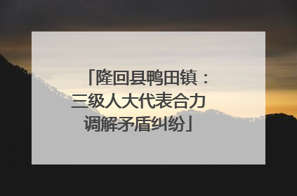 隆回县鸭田镇：三级人大代表合力调解矛盾纠纷