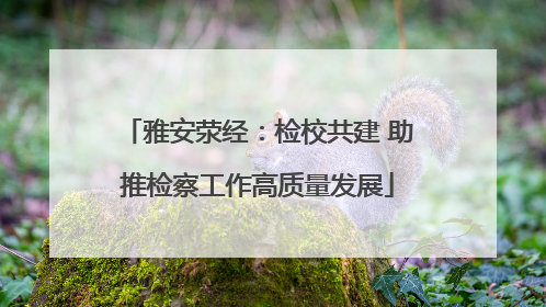 雅安荥经：检校共建 助推检察工作高质量发展