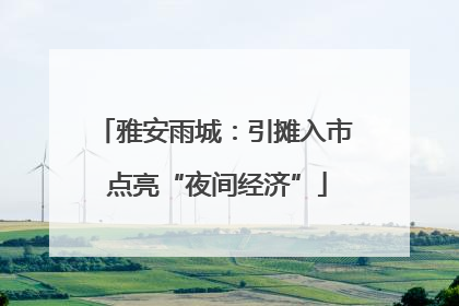 雅安雨城：引摊入市 点亮“夜间经济”