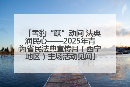 雪豹“跃”动间 法典润民心——2025年青海省民法典宣传月（西宁地区）主场活动见闻