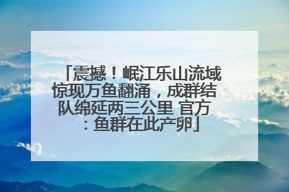 震撼！岷江乐山流域惊现万鱼翻涌，成群结队绵延两三公里 官方：鱼群在此产卵