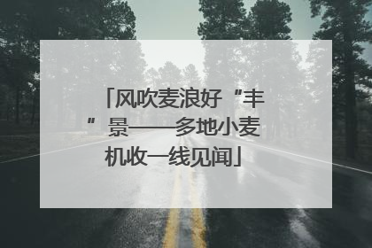 风吹麦浪好“丰”景——多地小麦机收一线见闻