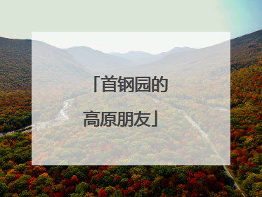 首钢园的高原朋友