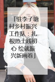 驻李子塘村乡村振兴工作队：扎根热土践初心 绘就振兴新画卷