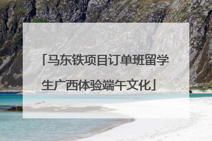 马东铁项目订单班留学生广西体验端午文化